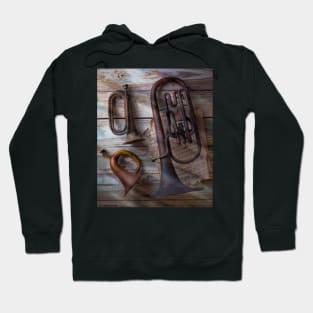 Three Old Horns On Wooden Wall Hoodie